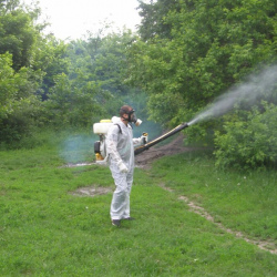 Дезинфекция территории от клещей