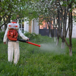 Уничтожение клещей на участке