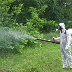 Уничтожение клещей в квартире