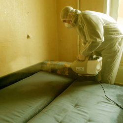 Обработка квартиры от коронавируса Маяковская метро Москвы