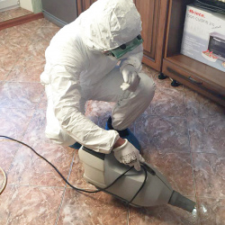 Уничтожение муравьев в квартире. Маяковская