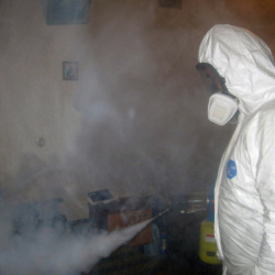 Обработка от муравьев в квартире Маяковская метро Москвы