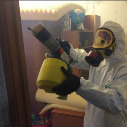 Уничтожение клопов в квартире. Маяковская