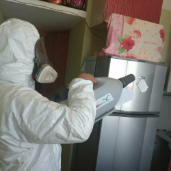 Уничтожение насекомых в квартире. Маяковская