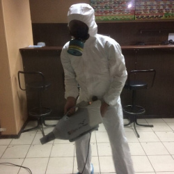 Обработка от насекомых Маяковская метро Москвы