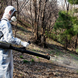 Акарицидная обработка территории