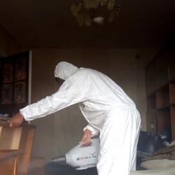 Уничтожение блох в квартире
