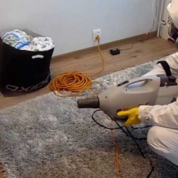 Обработка квартиры от блох